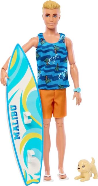 Mattel Barbie® Ken Surfař s doplňky, HPT50