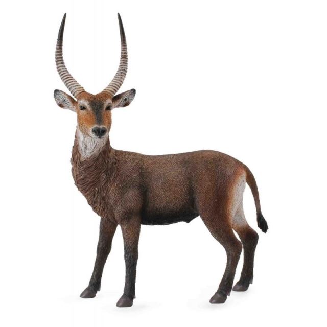 Collecta Antilopa vodná