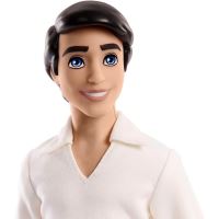 Mattel Disney Princess Princ Erik, HLV97 (2)