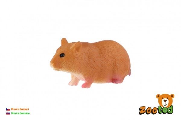 ZOOTED Morče domáce