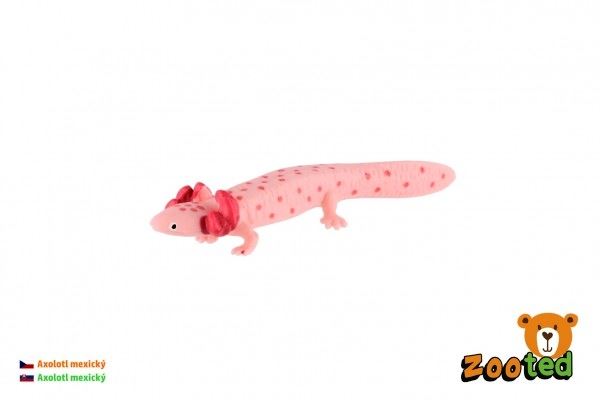 ZOOTED Axolotl mexický