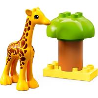 LEGO® DUPLO® 10971 Divoké zvieratá Afriky (2)