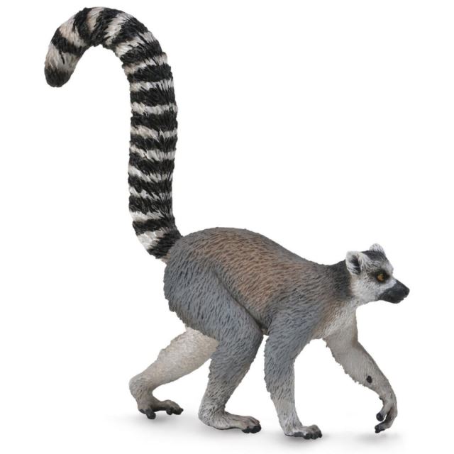 Collecta Lemur kata