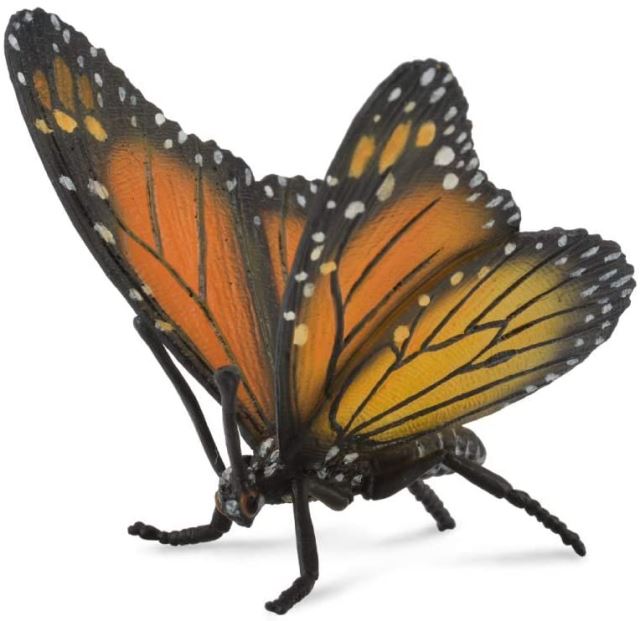 Collecta Monarcha sťahovavý