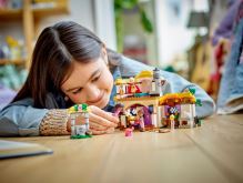 LEGO® Disney 43231 Ashina chata (7)