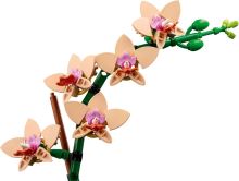 LEGO® Botanicals 10343 Miniatúrna orchidea (2)