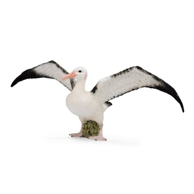 Collecta Albatros sťahovavý