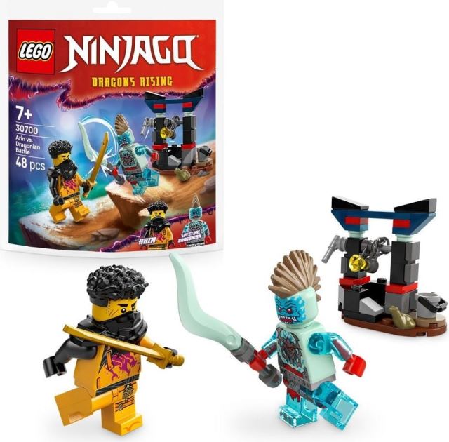 LEGO® NINJAGO 30700 Súboj: Arin vs. Dračie stvorenie