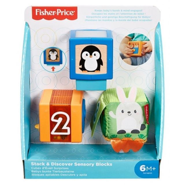 Fisher Price Kostky pro rozvoj smyslů, Mattel GJW13