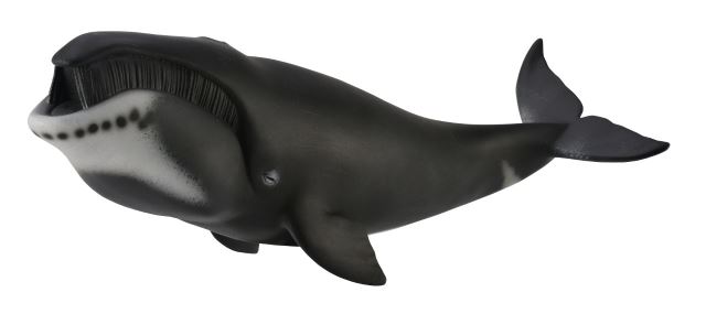 Collecta Veľryba grónska